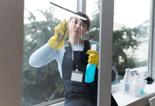 Nettoyage de vitres intérieures et extérieures à Brignac